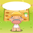 菜被偷了